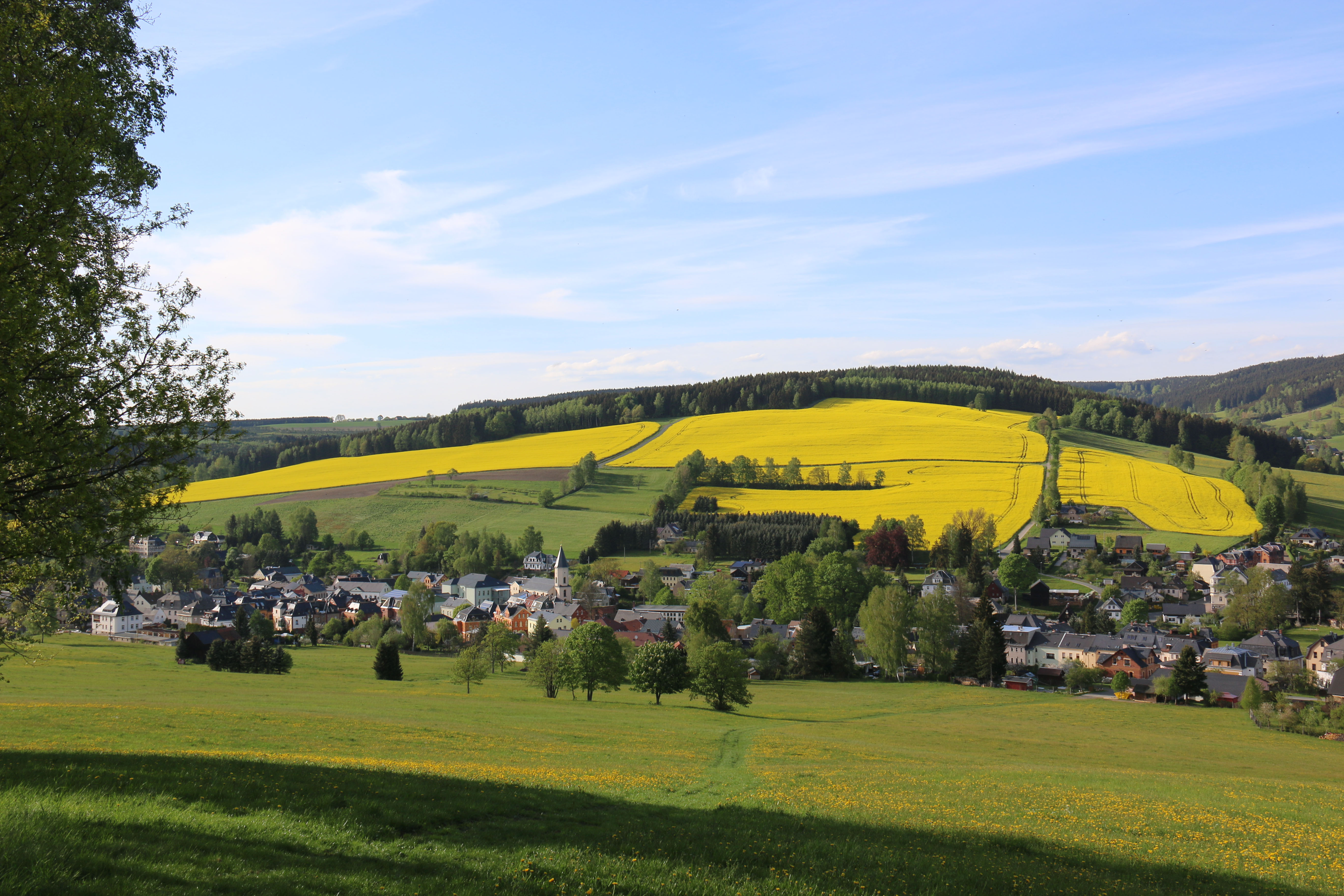 pexels francesco-ungaro-669319